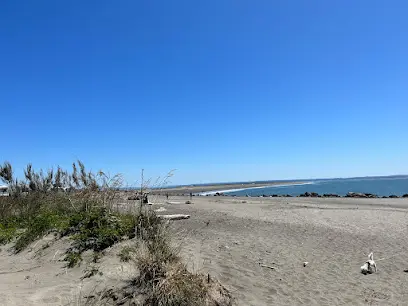 Damon Point Trail