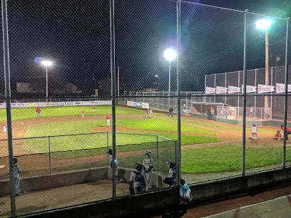 Nelson Field